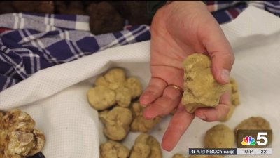 The Food Guy: Tracing truffles from Europe to Chicago