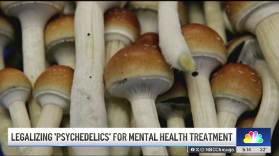 Illinois lawmakers weigh legalization of psilocybin for mental health treatment