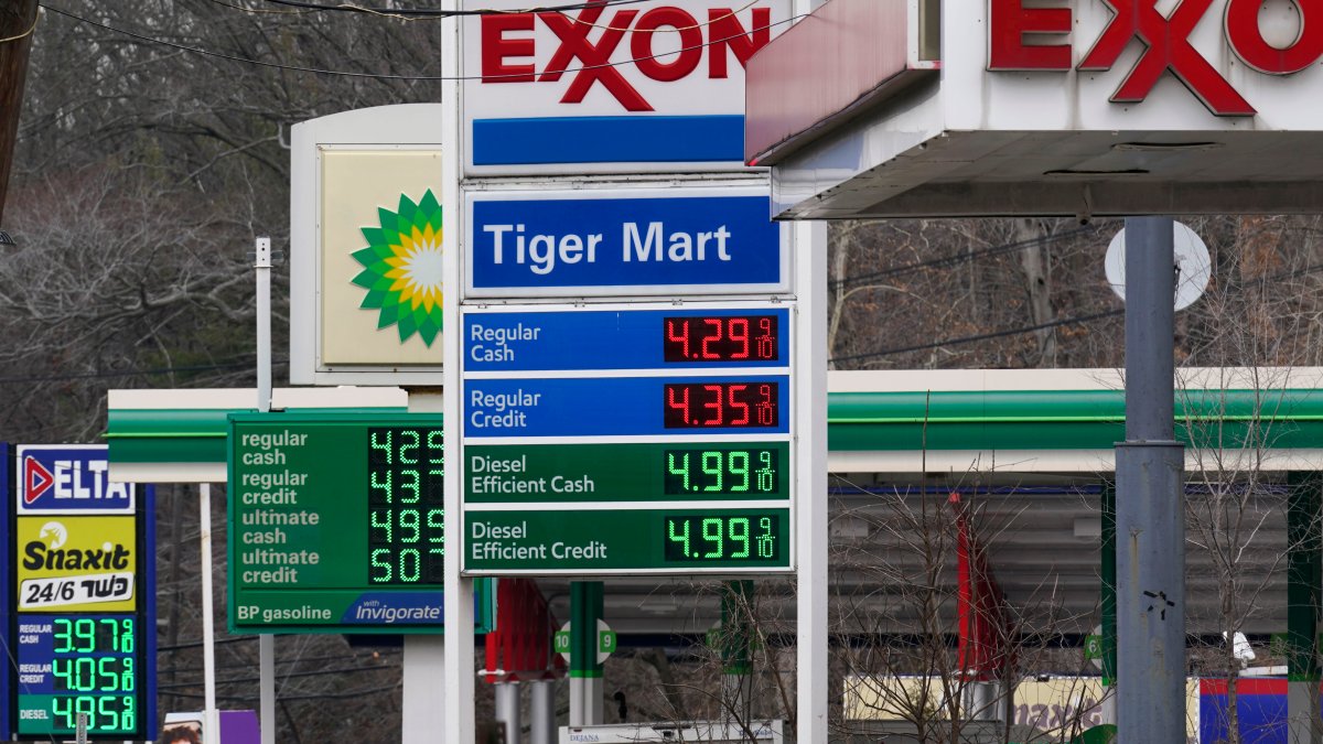 U.S. lawmakers push to suspend federal gas tax as fuel prices soar ...