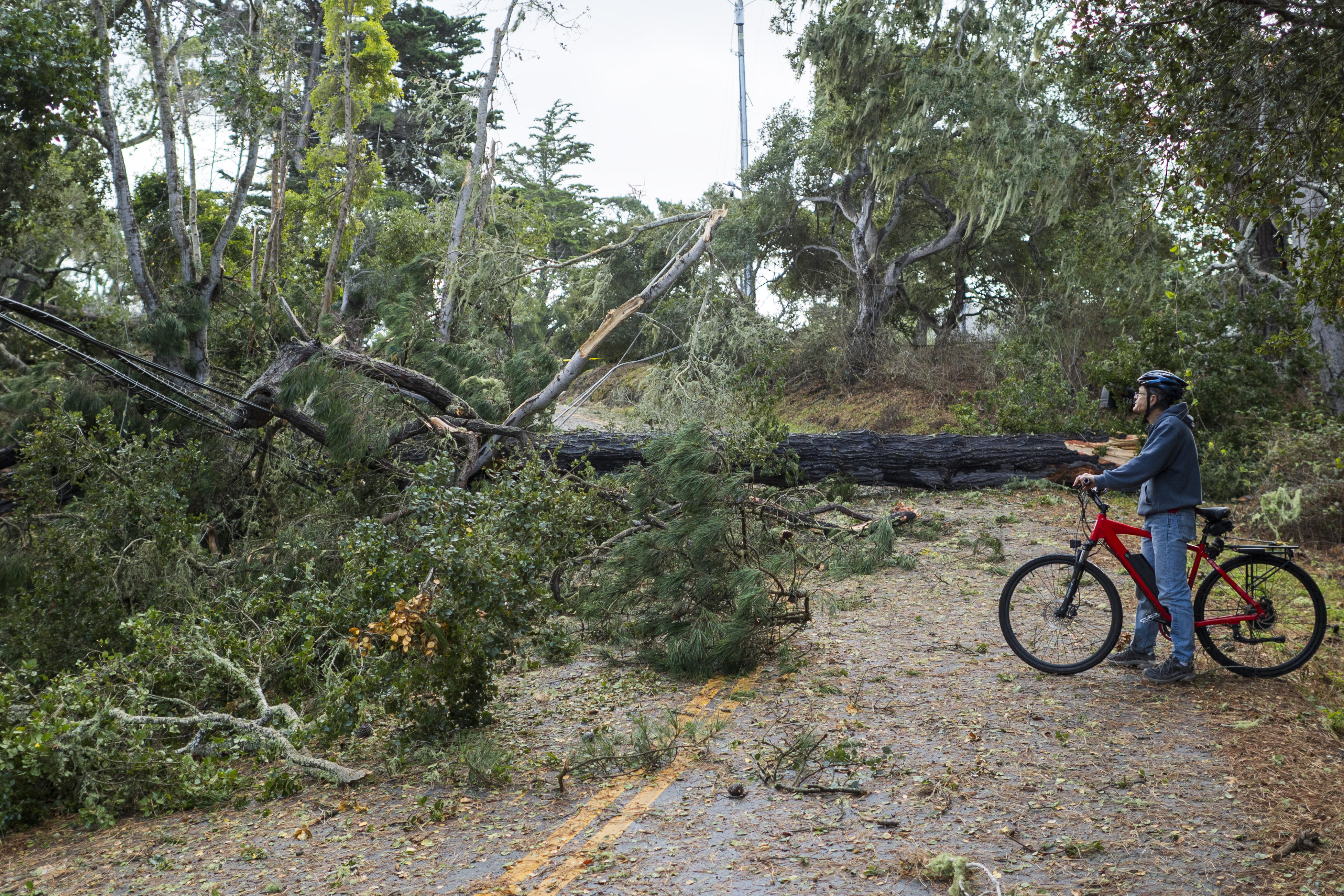 Storm generates rare tornado warning in San Francisco NBC Chicago