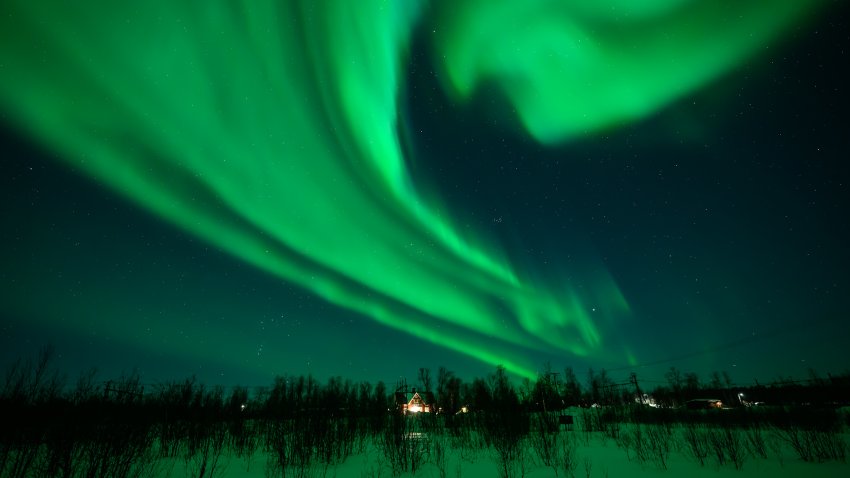The northern lights above a forrest.