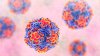 What is norovirus and what are the symptoms? What to look for as cases surge in parts of US