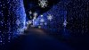 Here are 5 drive-through Christmas lights displays you can visit in the Chicago area