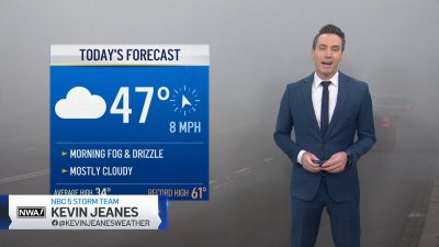 Chicago forecast: Drizzly and foggy