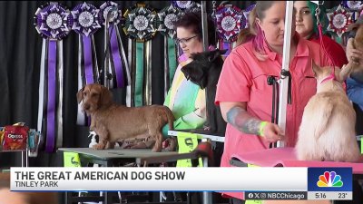 Great American Dog Show held in Tinley Park