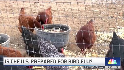 Experts sound alarm on bird flu preparedness in U.S.