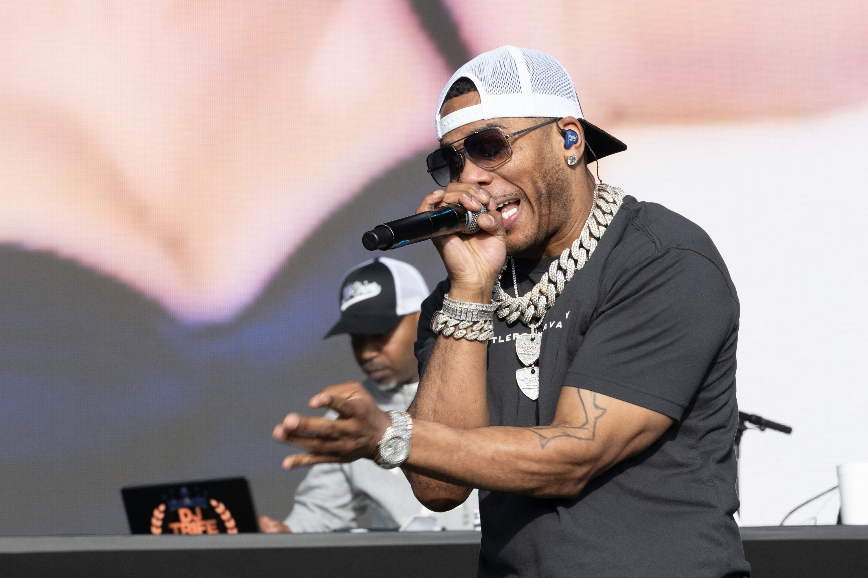 Nelly to perform at Brookfield Zoo's summer concert series