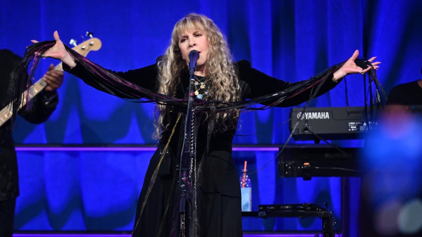 Stevie Nicks