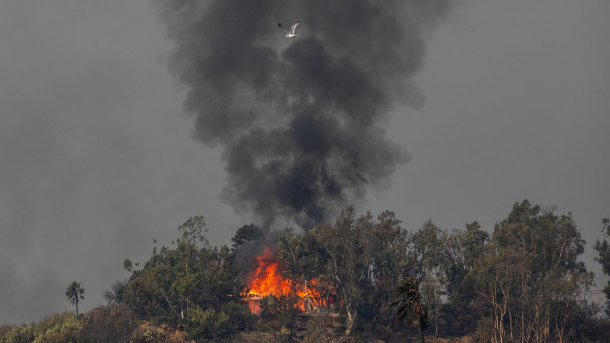 Former Chicago Mayor Lori Lightfoots family impacted by Los Angeles-area wildfires