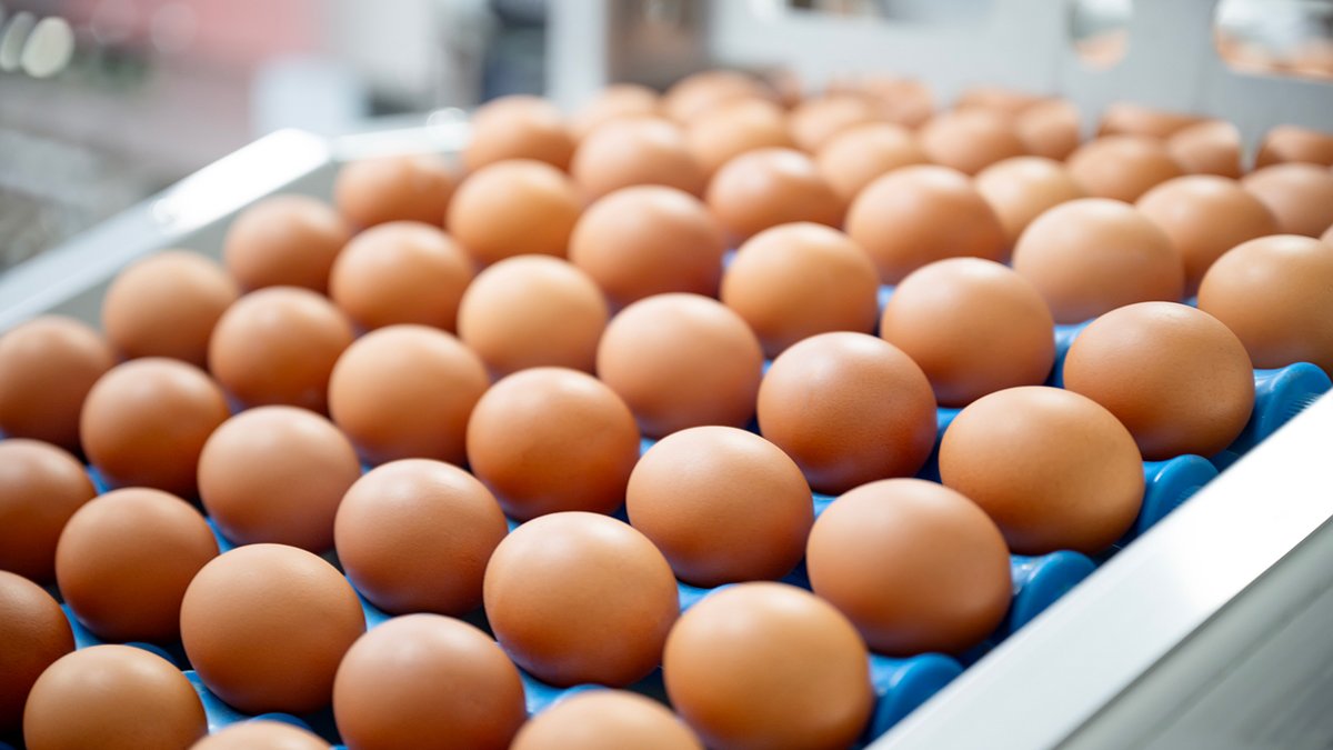 Several Midwest states among those impacted by salmonella outbreak