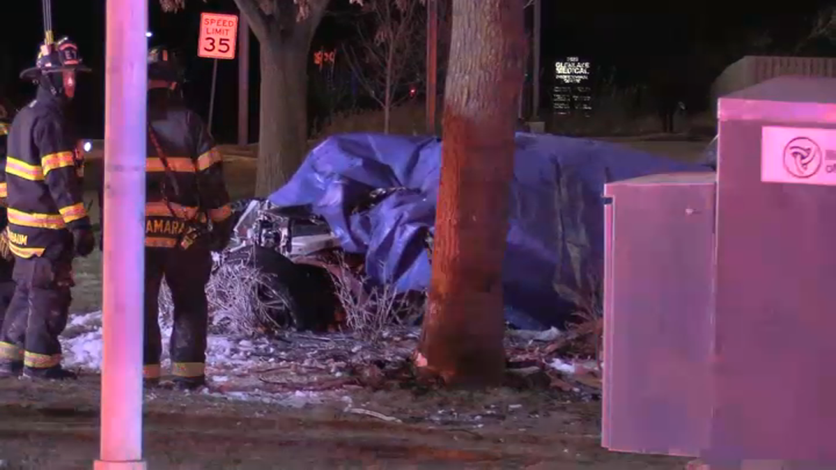 Identities released for 3 killed in fiery suburban crash: Officials