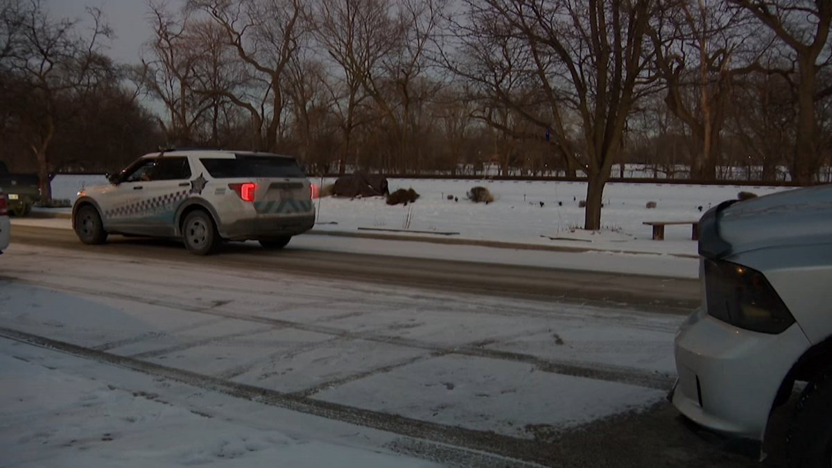 Neighbors horrified after teens kill coyote pup in Mount Greenwood