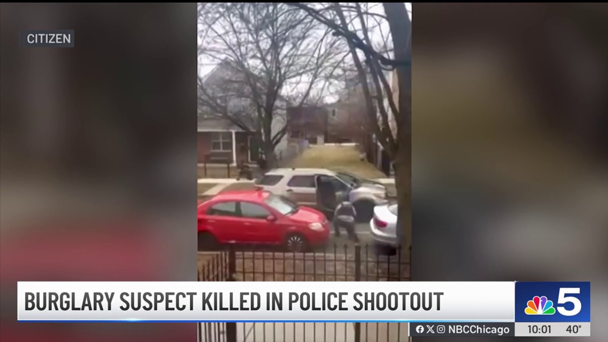 Person fatally shot by Chicago police after firing shots at officers in ...