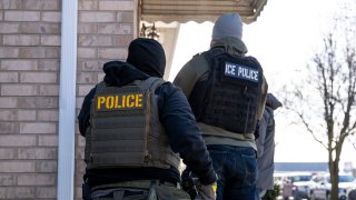 ICE agents