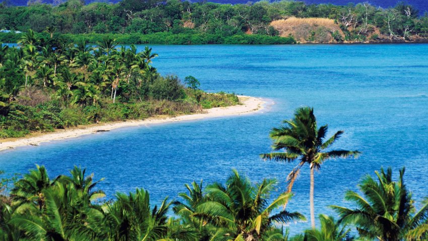 File. Coconut palms along the northern coast, Naviti island, Yasawa Archipelago, Fiji.