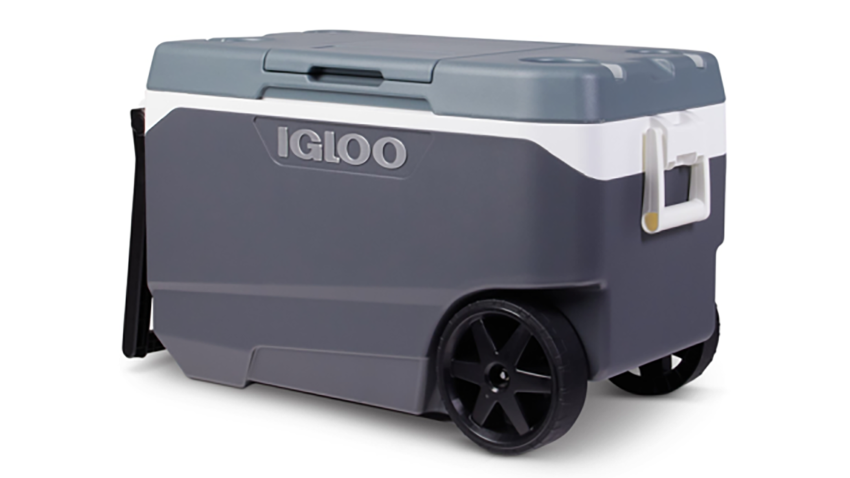 Igloo cooler