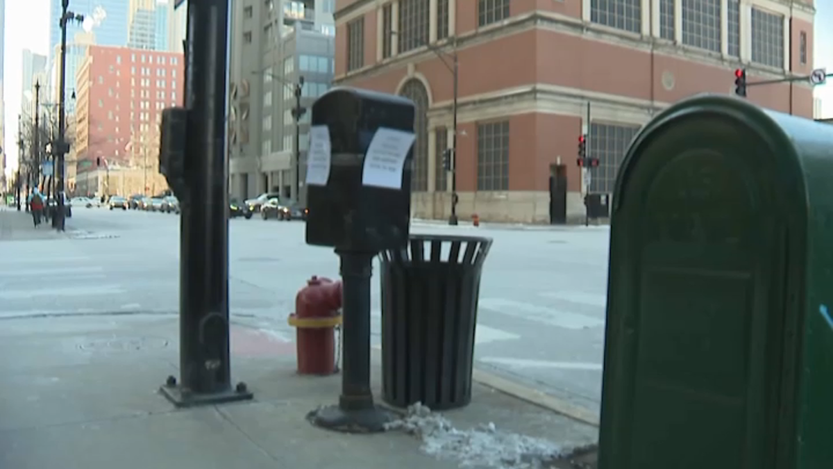 2 dogs shocked, 1 fatally, in Chicagos River North neighborhood. How did it happen?