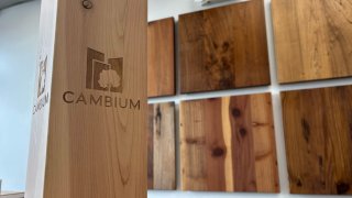 Recycled wood at Cambium.