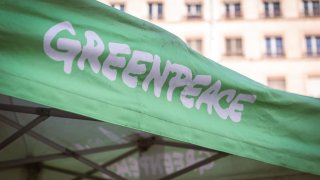 The Greenpeace logo on the green ecological awareness stand of the association in Lyon, France, on Oct. 23, 2024.