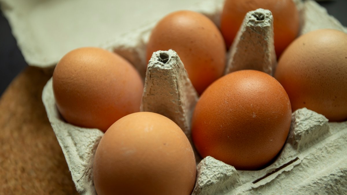 Pastor giving out 40K eggs to help with ‘egg crisis in Chicago