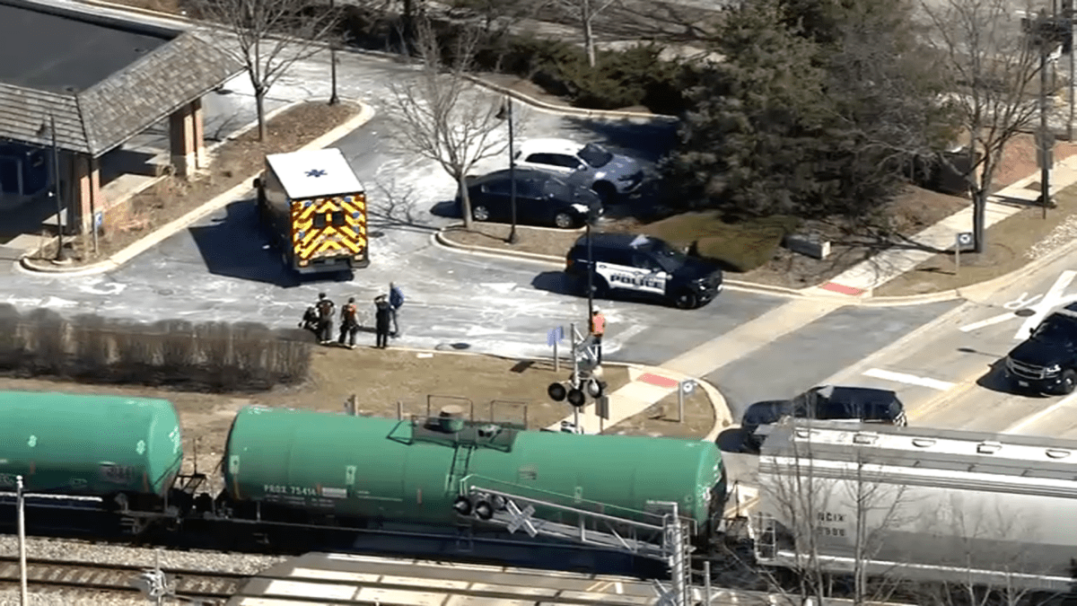 Metra trains halted near Lake Forest after freight train strikes pedestrian