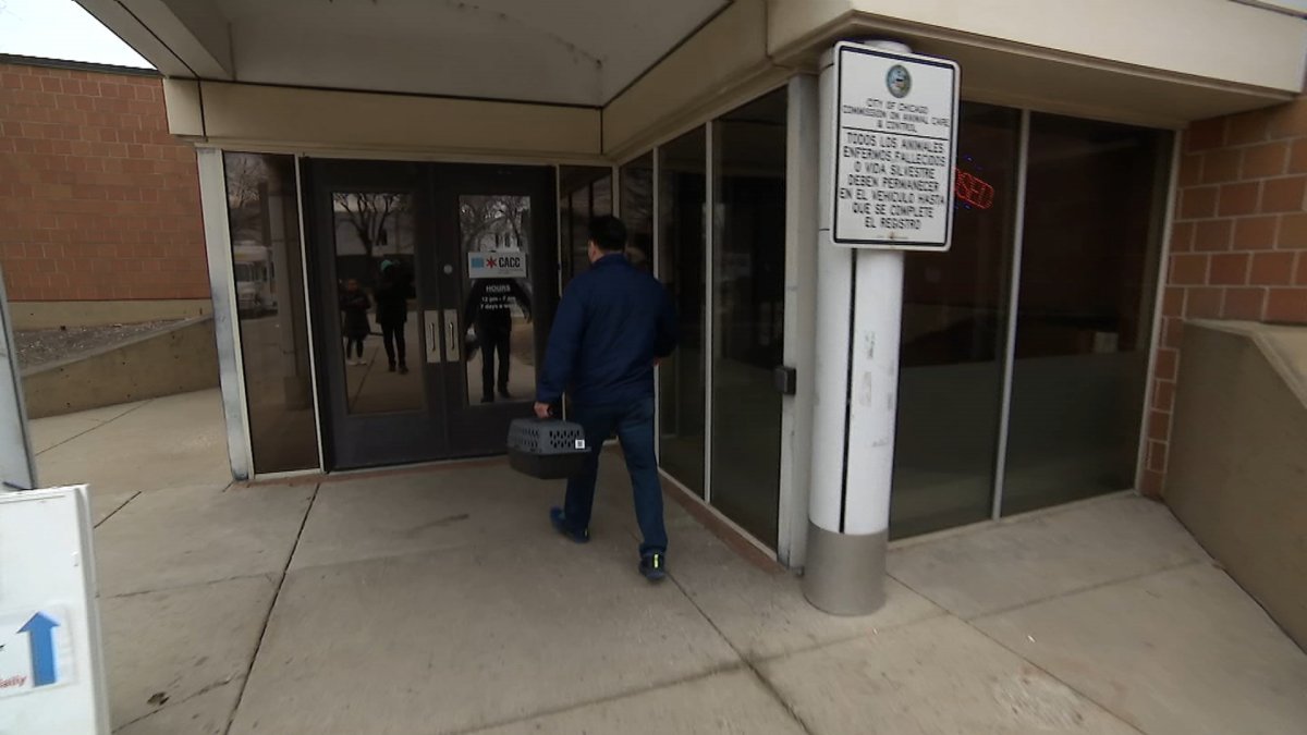 Activists, officials call for significant changes at Chicago-run animal shelter