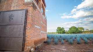 Suerte Tequila’s dedicated factory and agave farm in Jalisco Mexico.