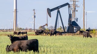 An oil pumpjack is seen in a field on April 08, 2025 in Nolan, Texas.