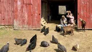 Sophie Hilaire Goldie, 37, and her husband, Rocky Goldie, 50, have no plans of moving or selling their Kentucky homestead.