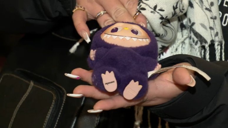 Labubu Michigan Fans line up for Pop Mart Michigan Avenue’s rare ‘Labubu’ toy – NBC Chicago