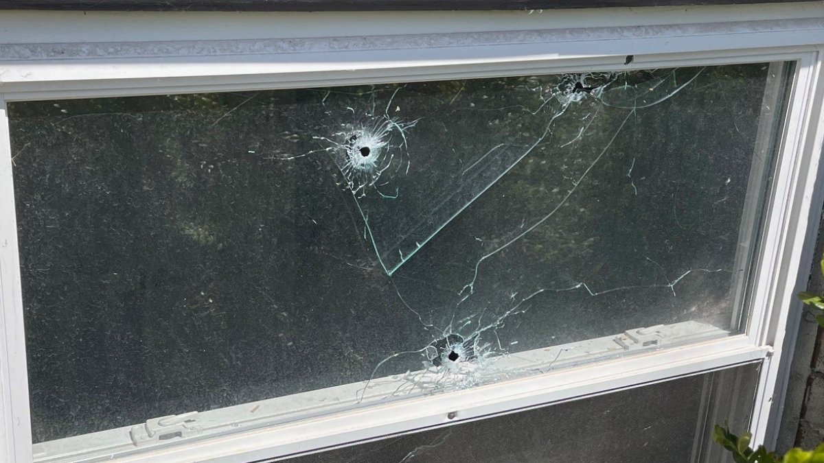 Police had visited home of slain Bolingbrook teen more than a dozen times Police had visited home of slain Bolingbrook teen more than a dozen times