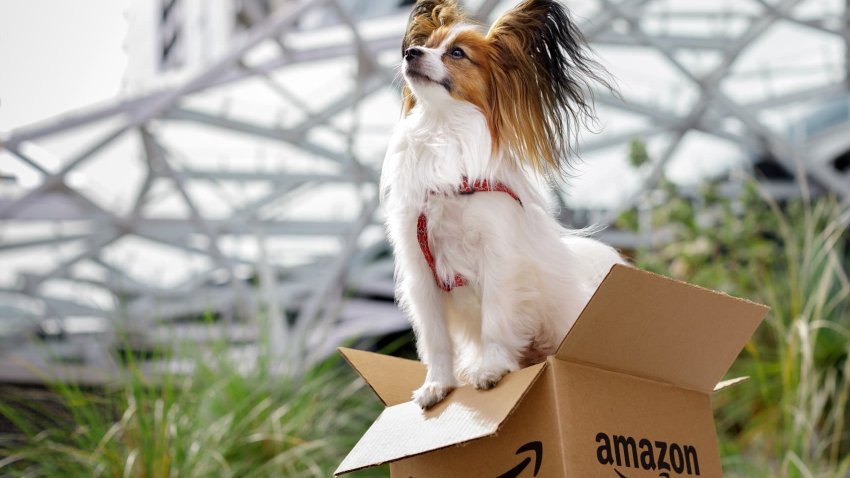 Photo courtesy of Amazon