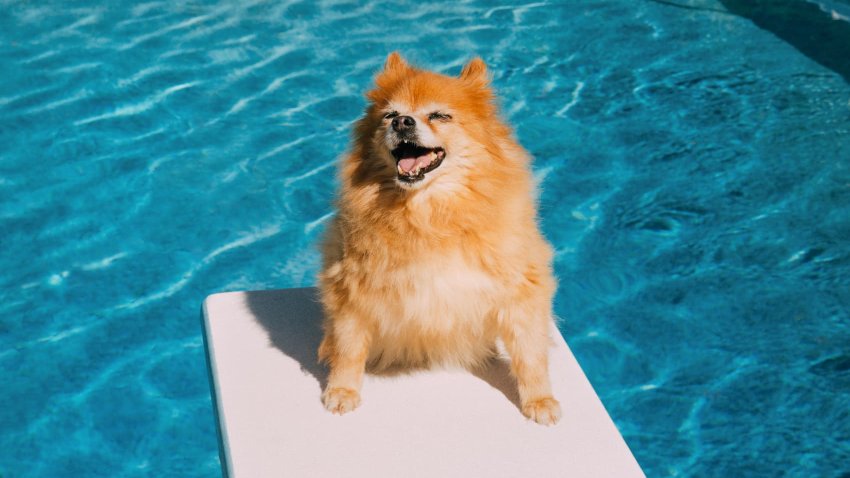 [CNBC] Why summer is actually the best time to start therapy: It’s ‘like emotional cross-training in the off-season’