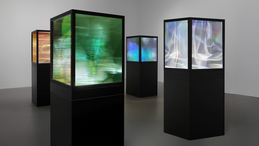 Artist Maja Petric’s “Specimens of Time: Spectrum” comprises luminous “sculptures” that show natural environments. Petric said she felt an “urgency” to preserve the memory of such landscapes.