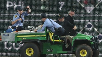 Pirates manager, fans react to fan falling onto field during game