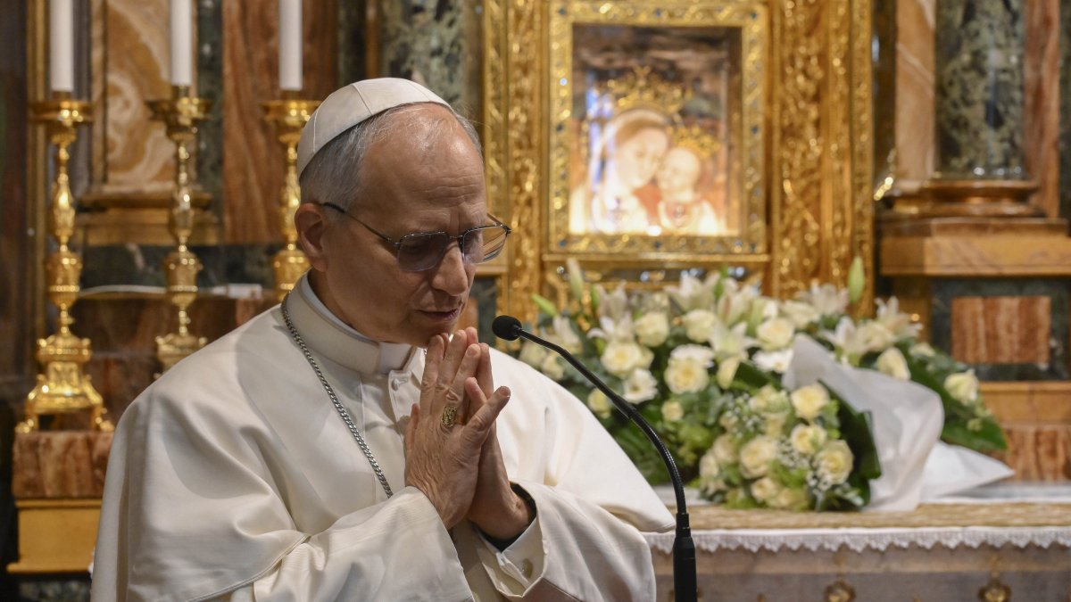 Illinois lawmaker proposes Pope Leo XIV license plates, statue