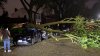 Severe storms hammer Chicago area with wind gusts up to 80 mph