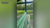 Video captures cars speeding through Chicago golf course moments before man struck