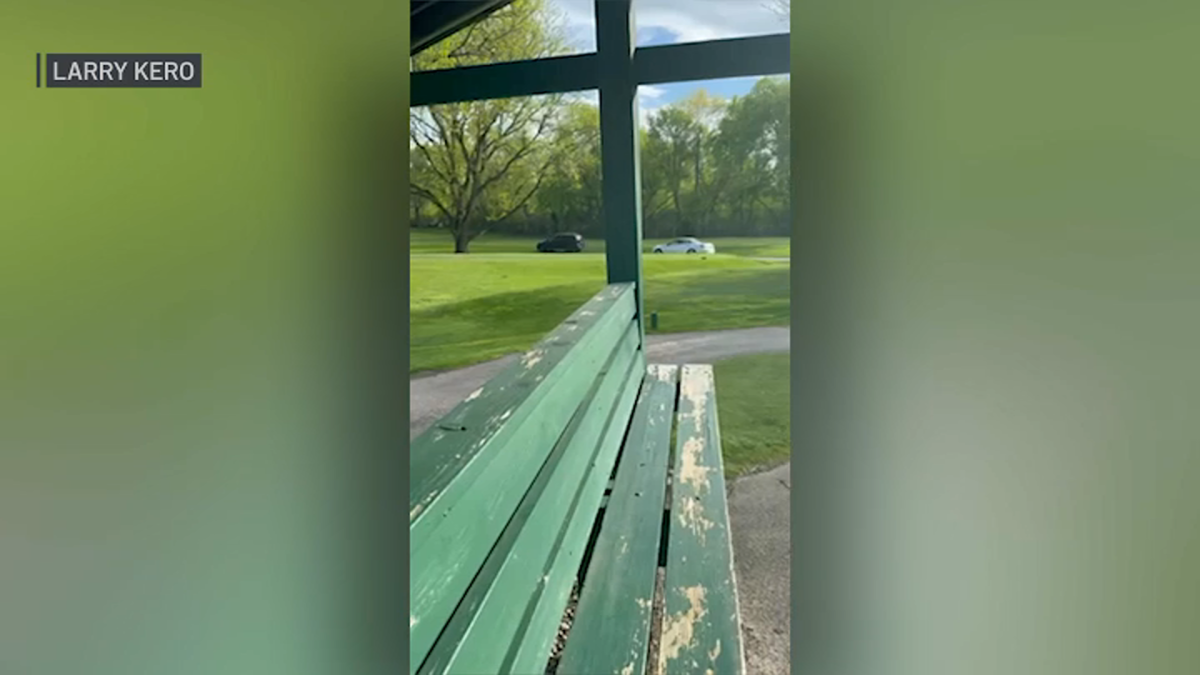 Video captures cars speeding through Chicago golf course moments before man struck