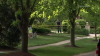 5-year-old boy dies after being struck in suburban driveway, police say