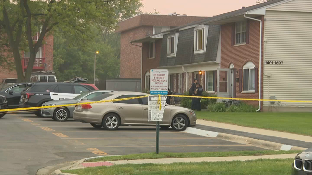 Court documents reveal details after Streamwood man charged with stabbing 2 siblings to death