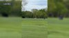 Golfer in ICU after being struck by vehicle driving on Chicago golf course