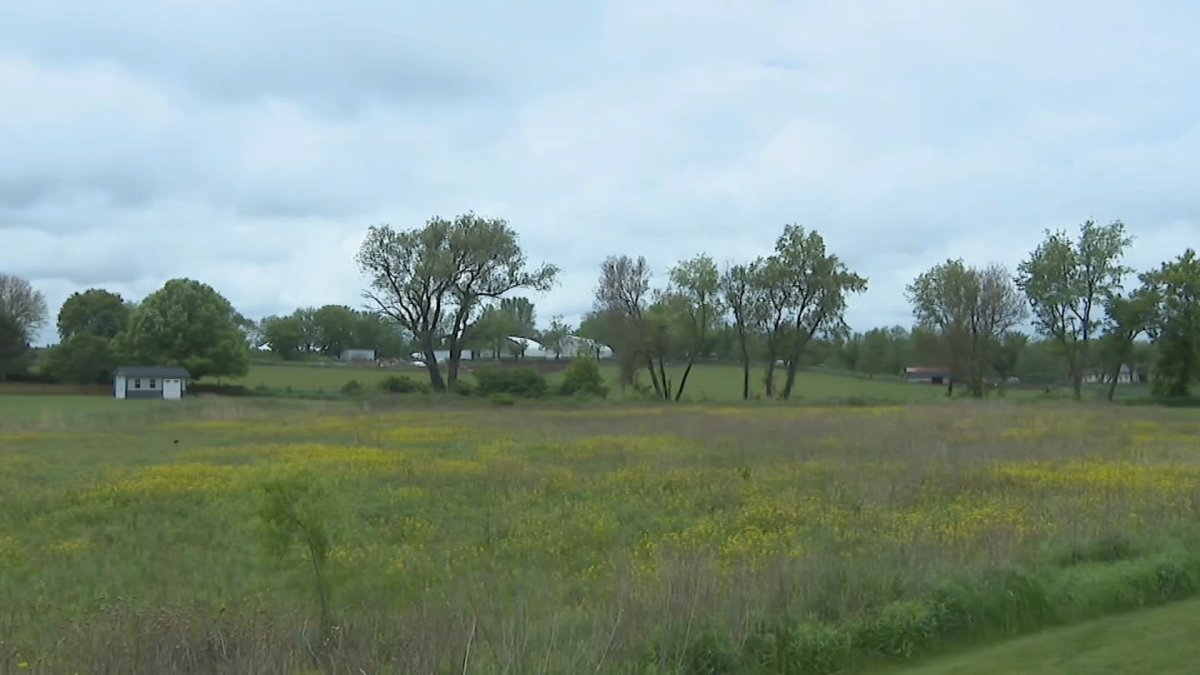 Wonder Lake residents push against proposed slaughterhouse near neighborhoods