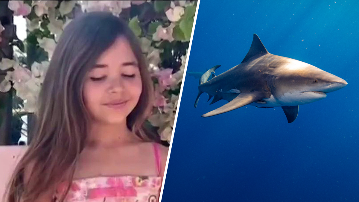 Bodycam footage shows crews helping 9-year-old bitten by shark in ...