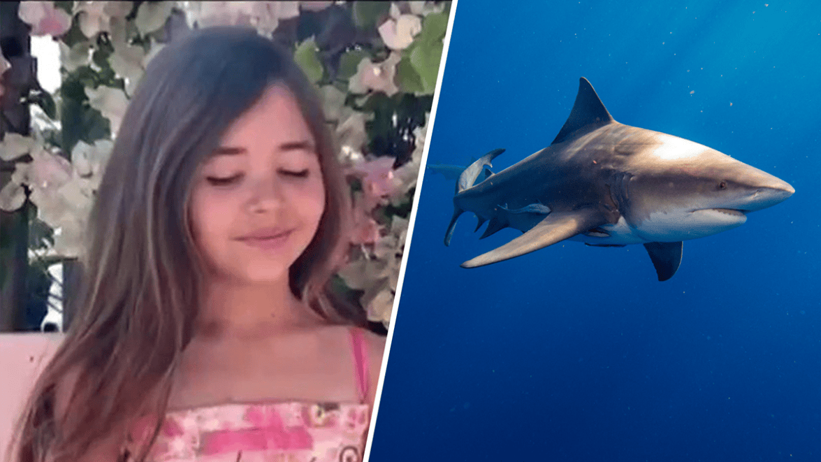 Ella Reed Bodycam footage shows crews helping 9-year-old bitten by shark in ...