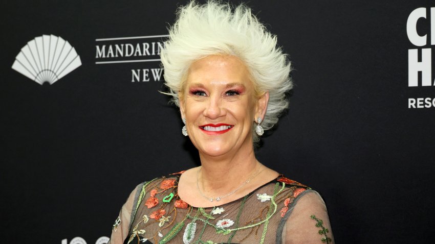 File. Anne Burrell attends the City Harvest 40th Anniversary Gala at Cipriani 42nd Street on April 25, 2023 in New York City.