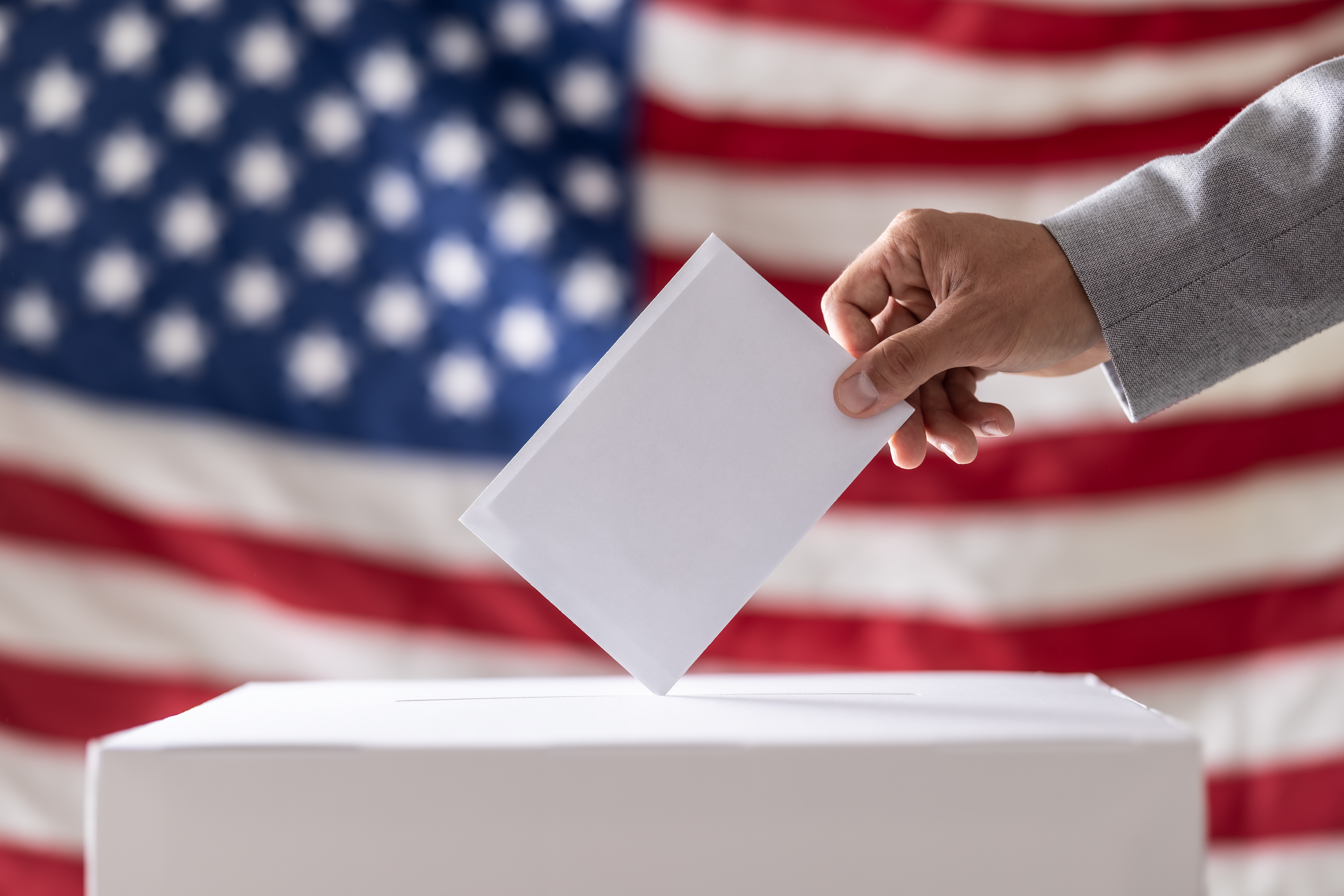 See your sample ballot for Election Day in Illinois' 2026 primary