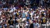 Fan climbs Wrigley Field netting during Cubs game to retrieve bat