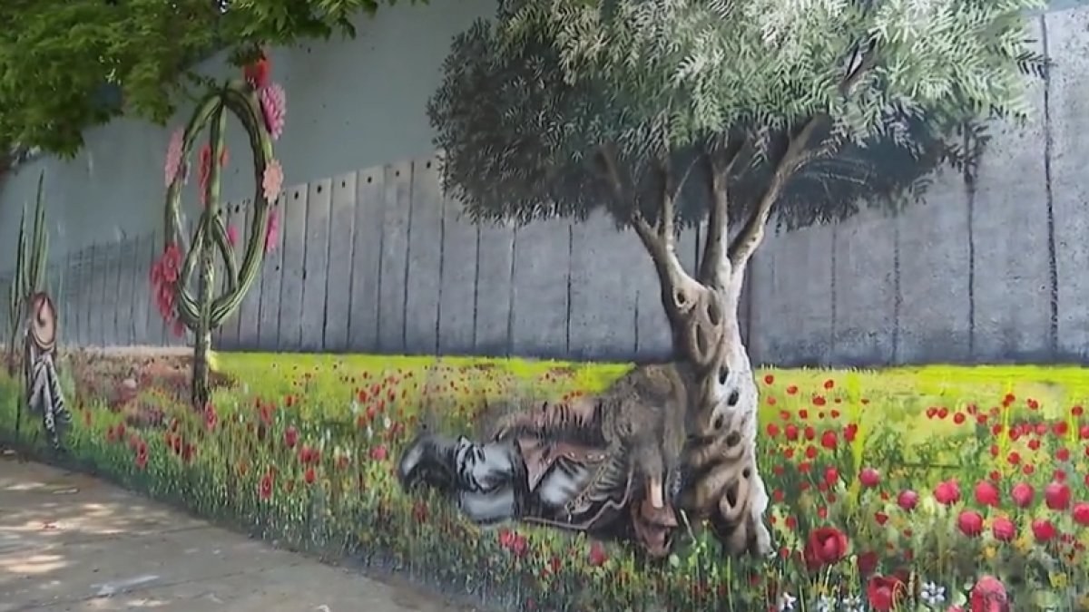 Woman attacked trying to stop vandalism of Palestinian, Mexican tribute mural in Pilsen