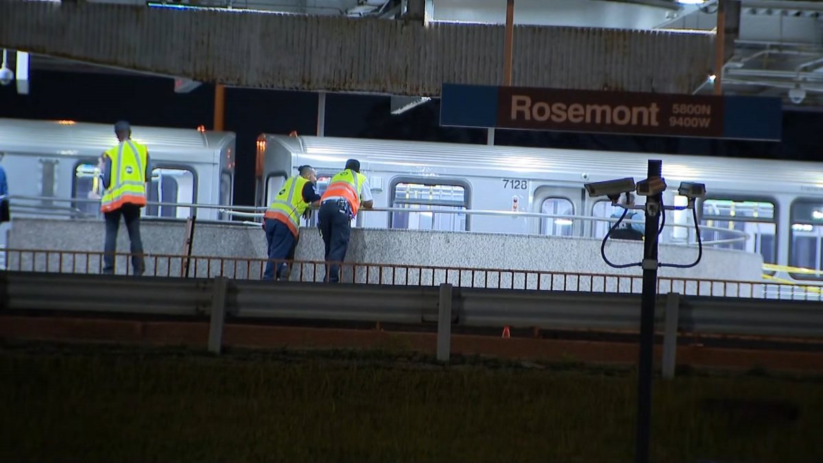 Suspect arrested after fatal CTA Blue Line stabbing